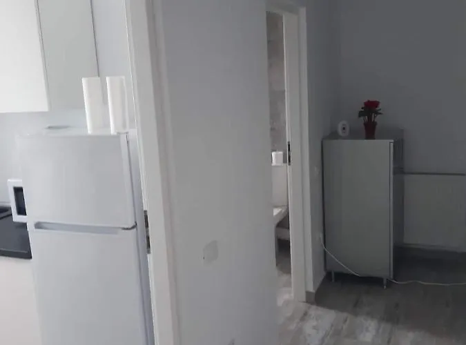 アパート Tudor Mamaia Sat *